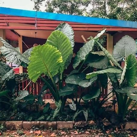 Song Pee Nong Resort Phattalung Phatthalung Esterno foto