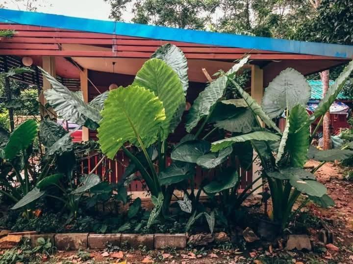 Song Pee Nong Resort Phattalung Phatthalung Esterno foto